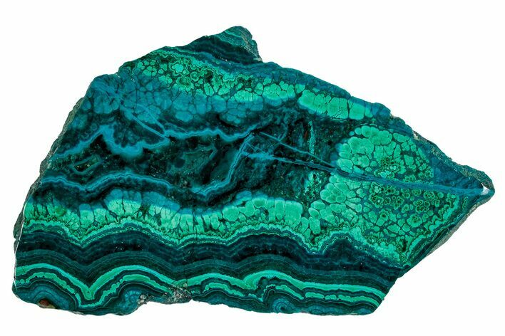 Polished Banded Chrysocolla and Malachite - Bagdad Mine, Arizona #337003